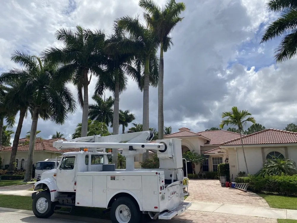 Expert lawn care service for year-round maintenance across West Palm Beach, FL - Curtis Landscaping & Tree Service