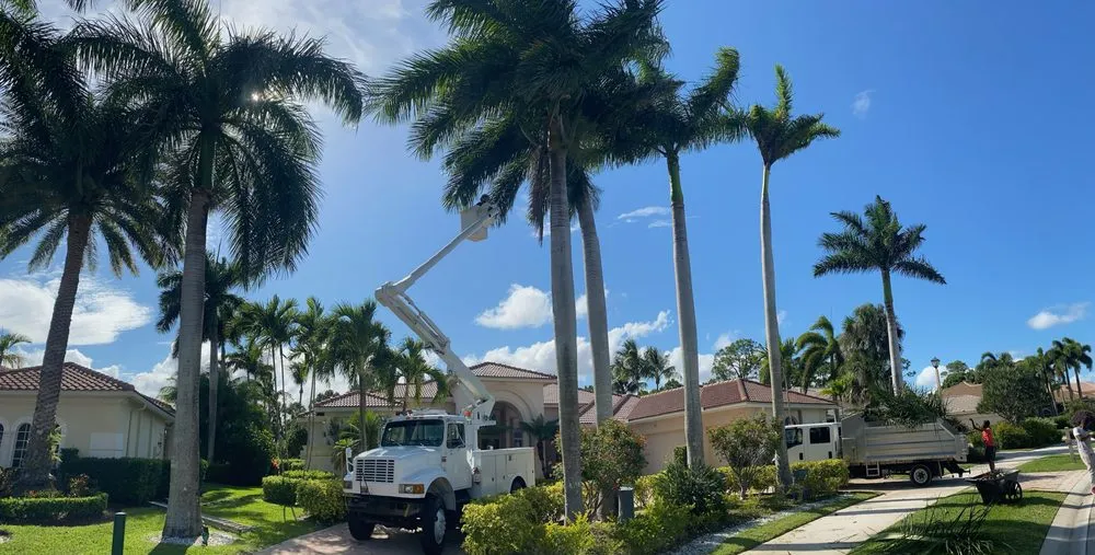 Affordable residential landscaping with custom design in West Palm Beach, FL by Curtis Landscaping & Tree Service