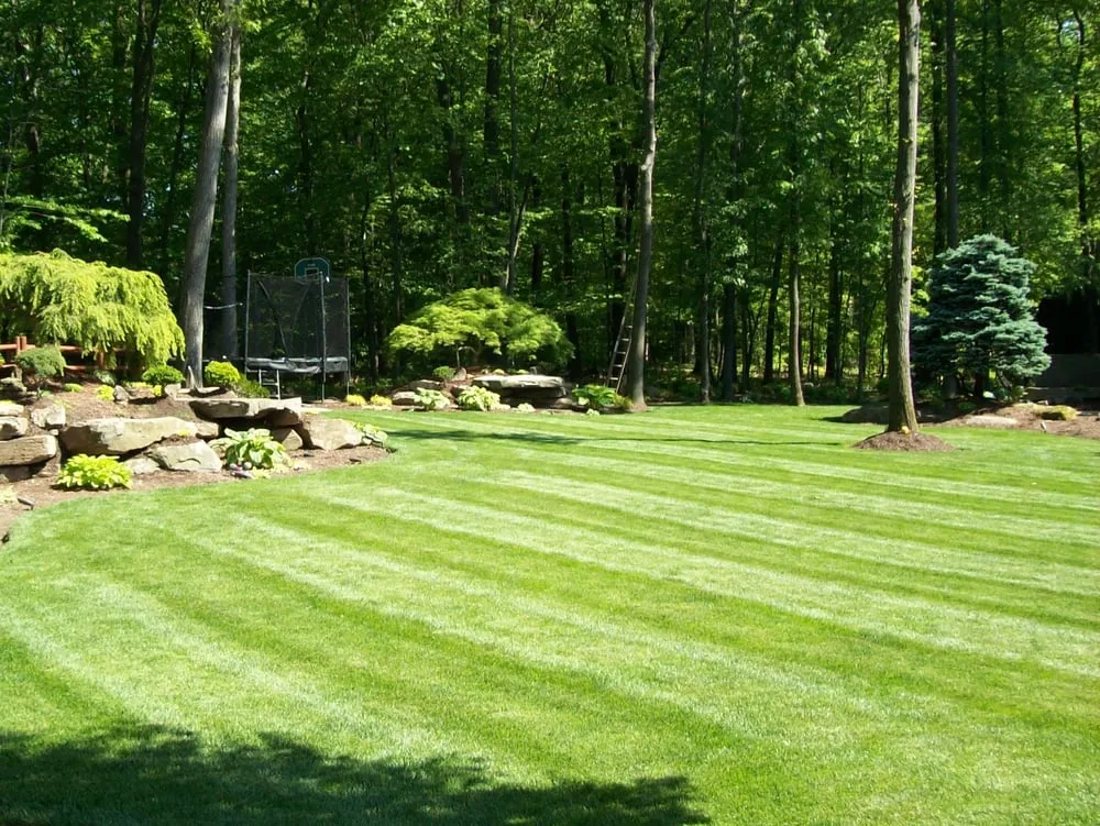 Professional yard cleanup service in Valley Cottage, NY - Curti's Landscaping, Inc