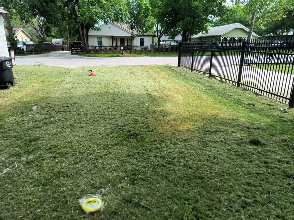 Expert garden landscaping in Cleburne, TX by Curtis Lawn Care