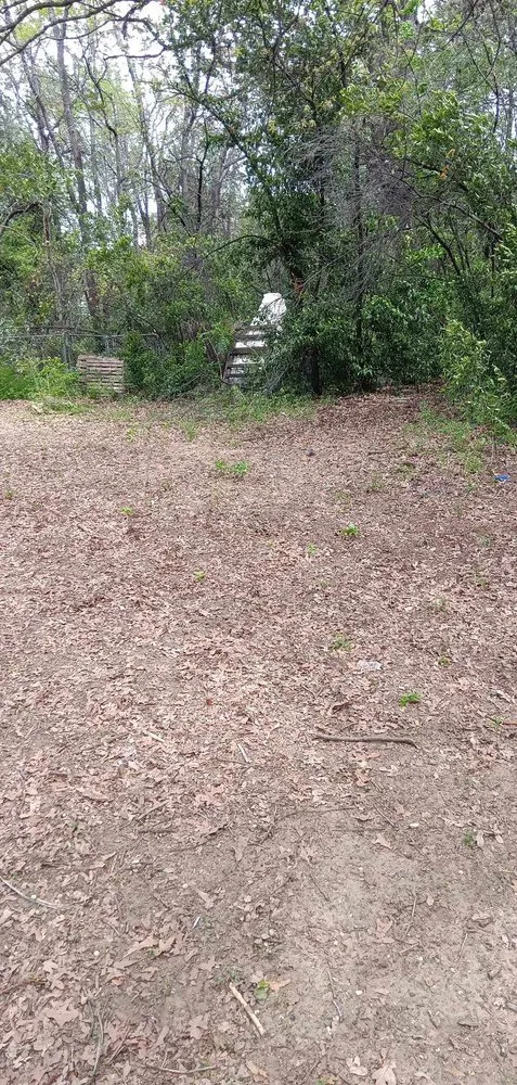 Affordable landscaping services in Cleburne, TX - Curtis Lawn Care