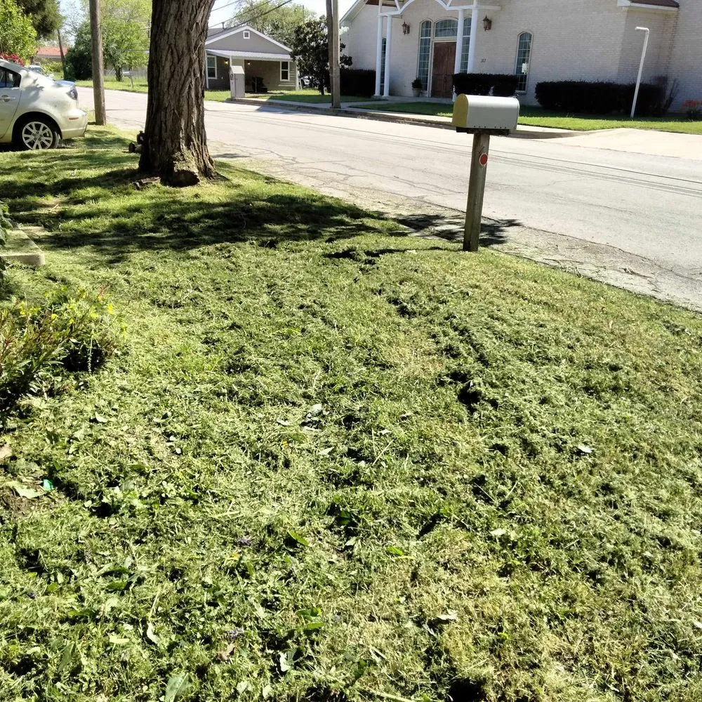 Custom landscape design for beautiful yards across Cleburne, TX - Curtis Lawn Care