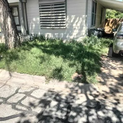 Curtis Lawn Care Logo