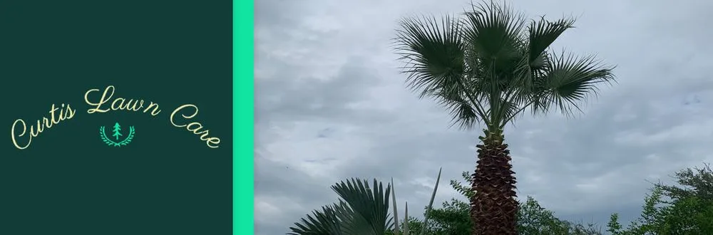 Custom lawn care service with custom design in Rockport, TX by Curtis Lawn Care