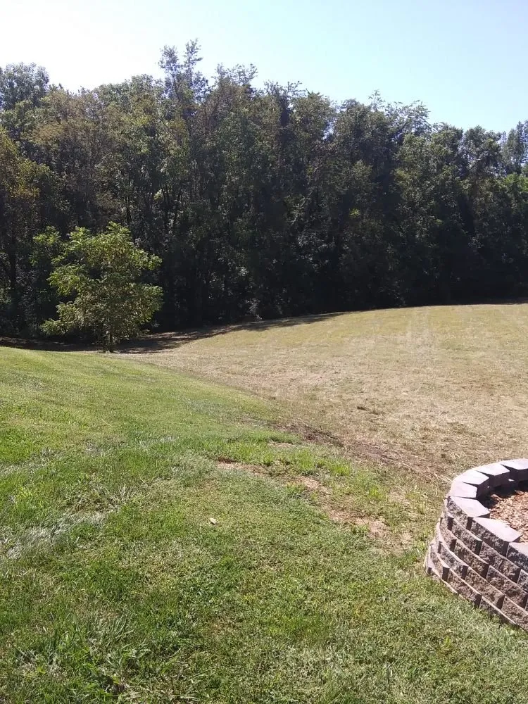 Affordable landscape design in Piney Flats, TN - Curtis Lawn Maintenance