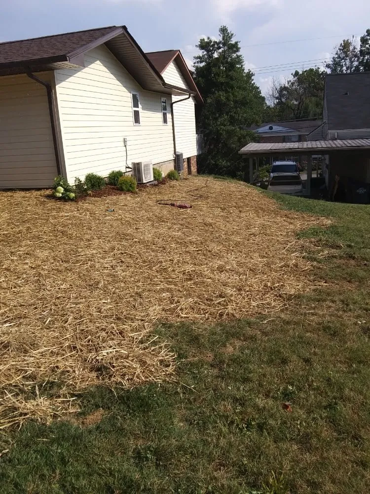 Local outdoor landscaping for outdoor upgrades in Piney Flats, TN by Curtis Lawn Maintenance