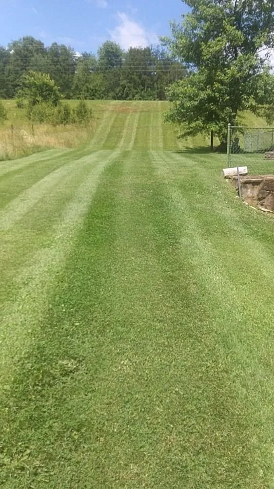 Trusted residential landscaping experts serving Piney Flats, TN - Curtis Lawn Maintenance