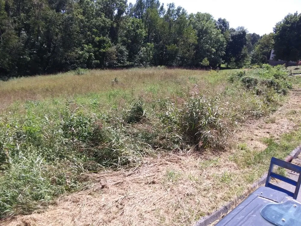 Expert landscape design for year-round maintenance across Piney Flats, TN - Curtis Lawn Maintenance