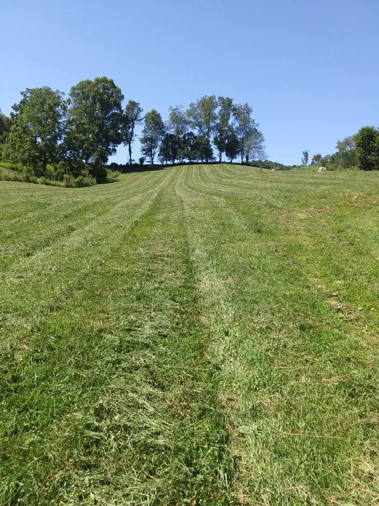 Local landscaping services experts serving Piney Flats, TN - Curtis Lawn Maintenance