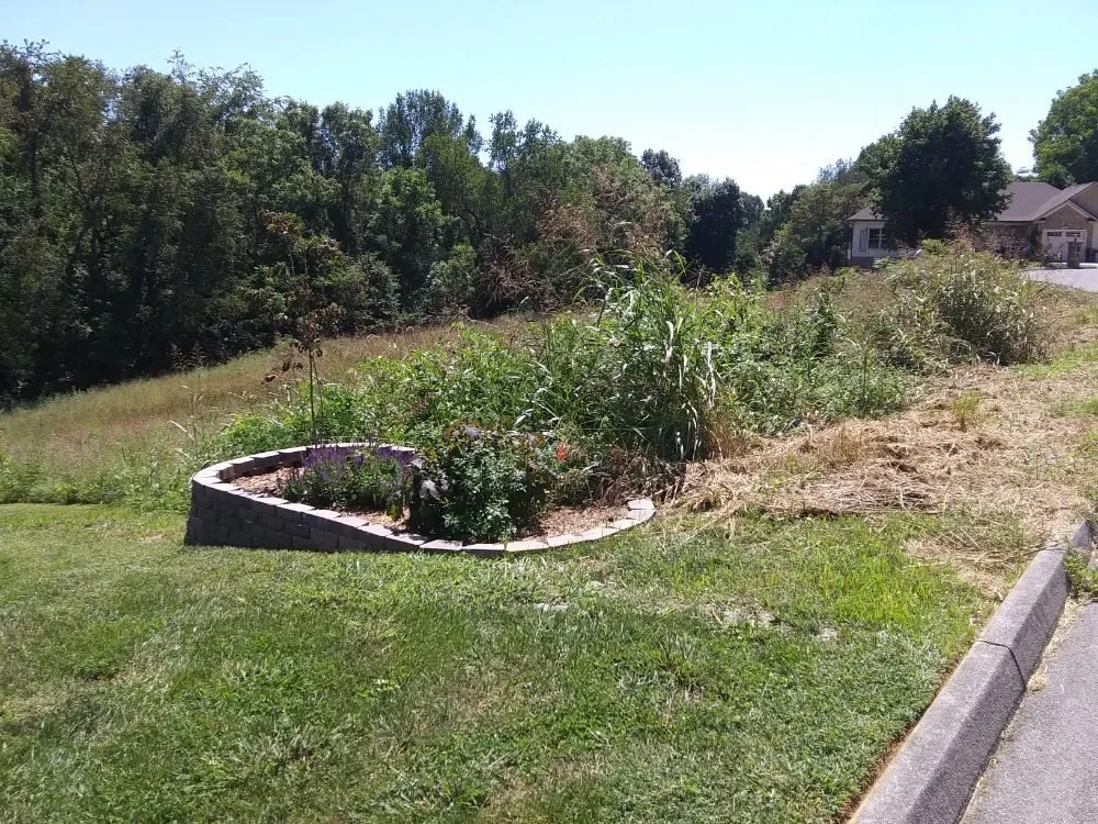 Professional lawn care service for beautiful yards across Piney Flats, TN - Curtis Lawn Maintenance