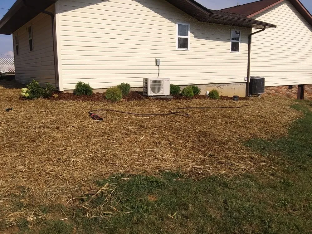 Professional yard maintenance for homes across Piney Flats, TN - Curtis Lawn Maintenance
