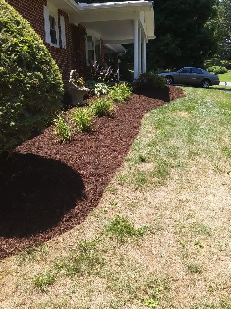 Expert landscaping services for year-round maintenance across Piney Flats, TN - Curtis Lawn Maintenance