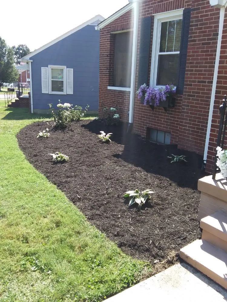 Top-rated landscape installation experts serving Piney Flats, TN - Curtis Lawn Maintenance