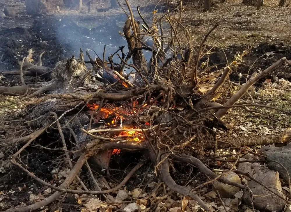 Custom landscaping services experts serving Apple Valley, MN - Curts & Acres Land Management