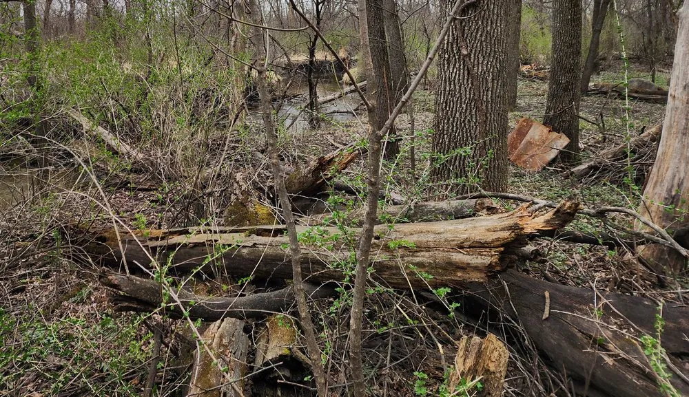 Trusted landscaping services in Apple Valley, MN by Curts & Acres Land Management