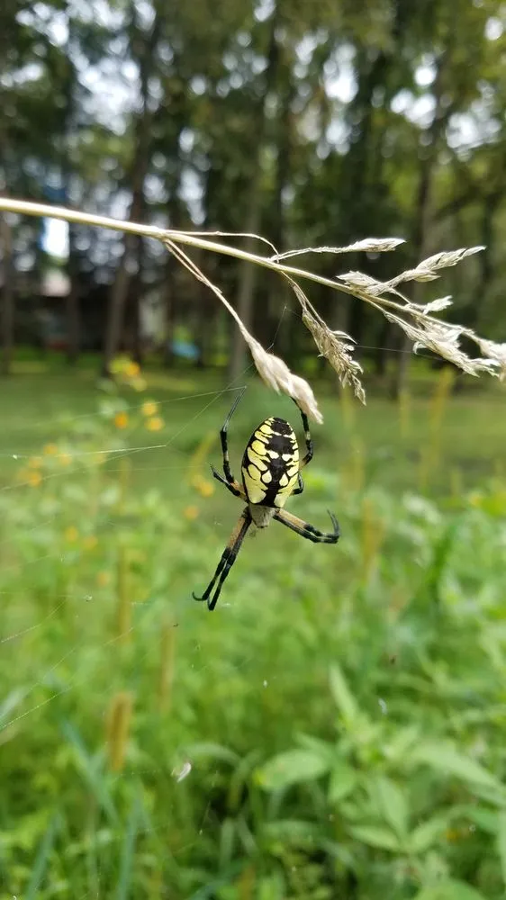Custom residential landscaping with custom design across Apple Valley, MN - Curts & Acres Land Management