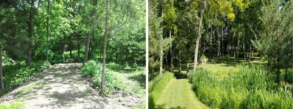 Custom lawn care service experts serving Apple Valley, MN - Curts & Acres Land Management