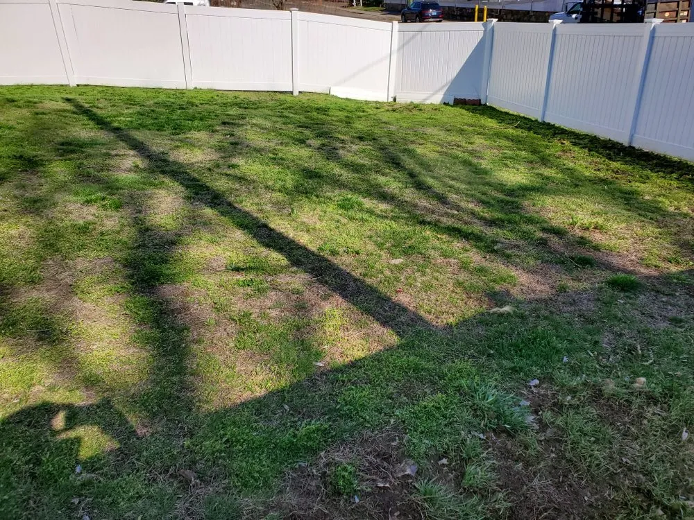 Local yard cleanup service experts serving Norwalk, CT - Curt's All Maintenance