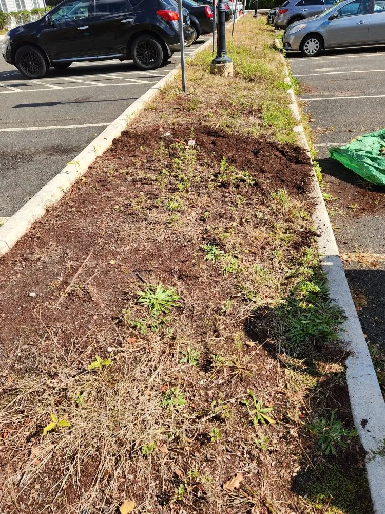 Custom yard maintenance in Norwalk, CT by Curt's All Maintenance