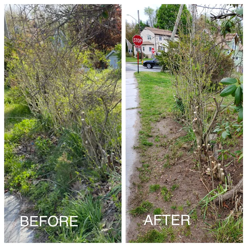 Expert garden landscaping with custom design in Norwalk, CT by Curt's All Maintenance