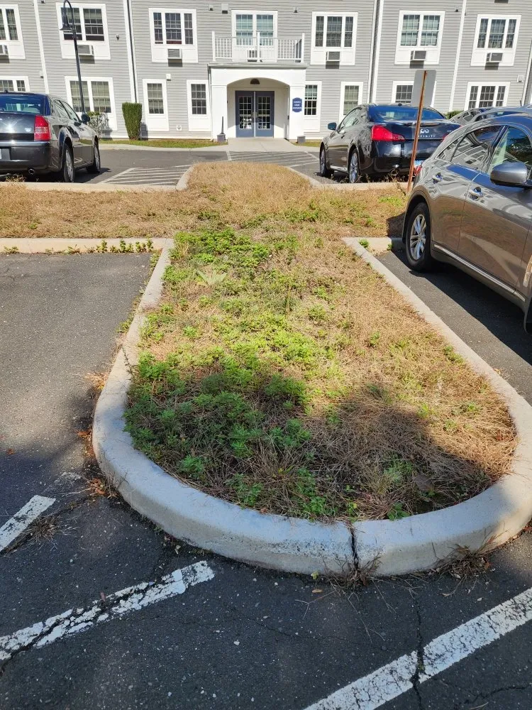 Trusted garden landscaping for year-round maintenance across Norwalk, CT - Curt's All Maintenance