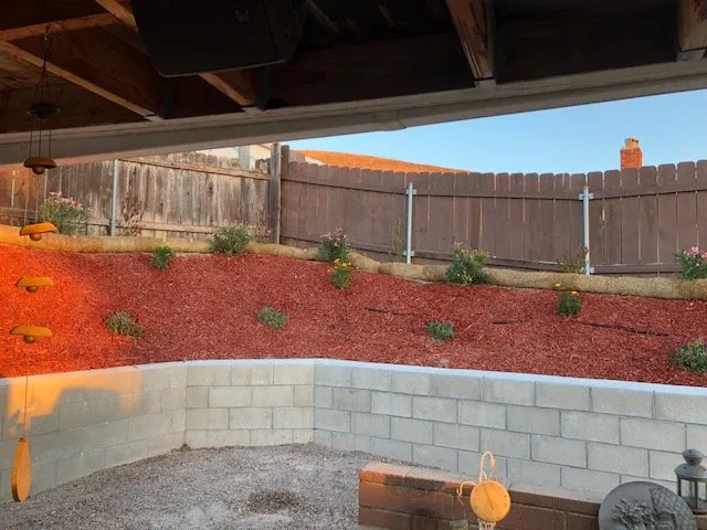 Top-rated yard cleanup service near you in Santee, CA by Curt's Land Patrol