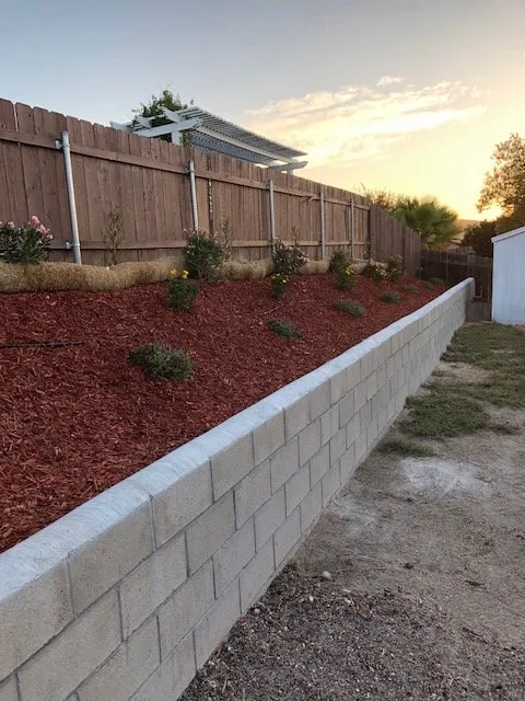 Top-rated lawn care service for beautiful yards across Santee, CA - Curt's Land Patrol