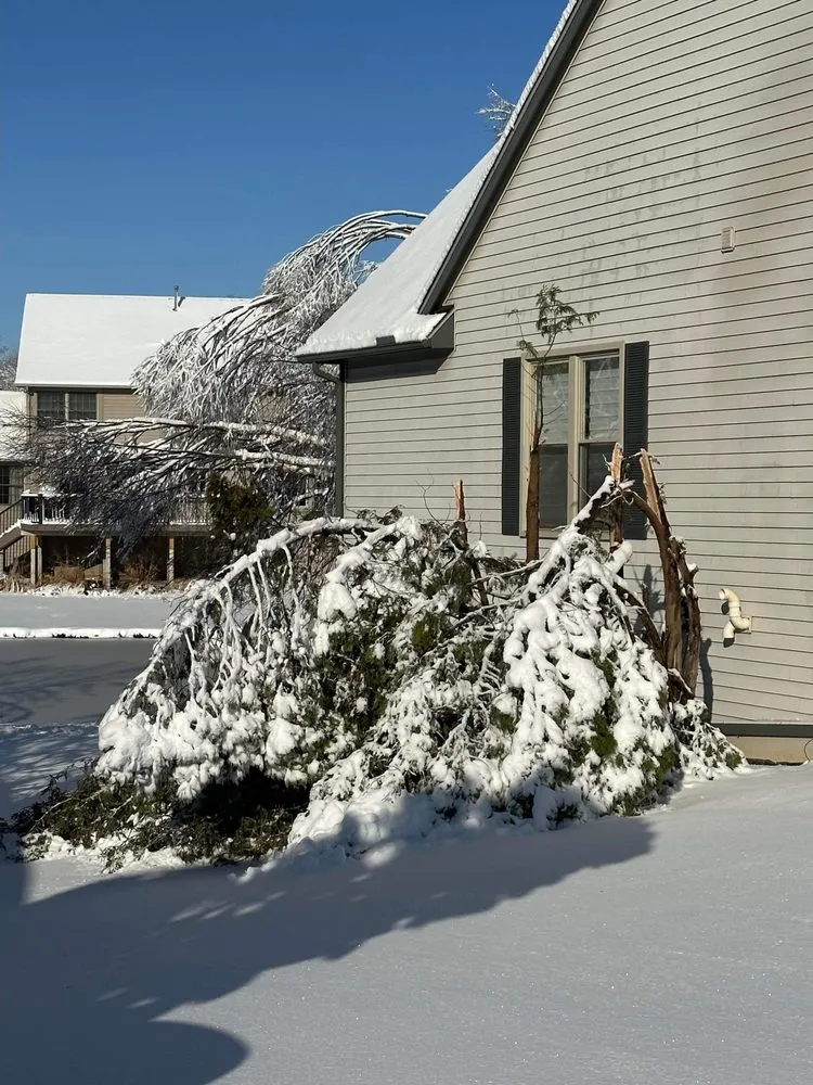 Top-rated lawn care service experts serving Novi, MI - Curt’s Services