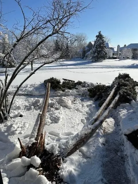 Expert lawn care service in Novi, MI - Curt’s Services