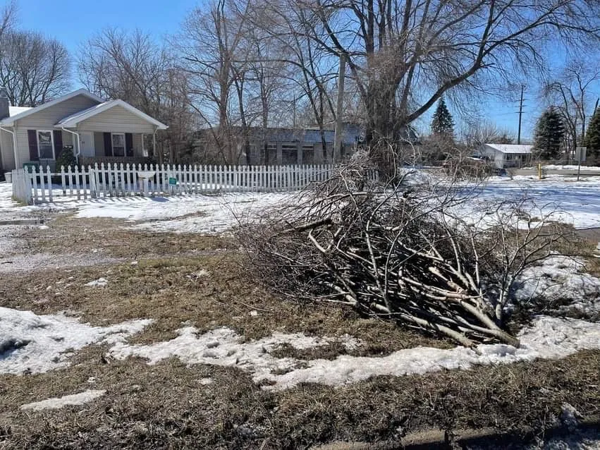 Professional outdoor landscaping for homes across Novi, MI - Curt’s Services