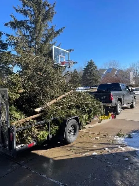 Trusted yard maintenance in Novi, MI by Curt’s Services