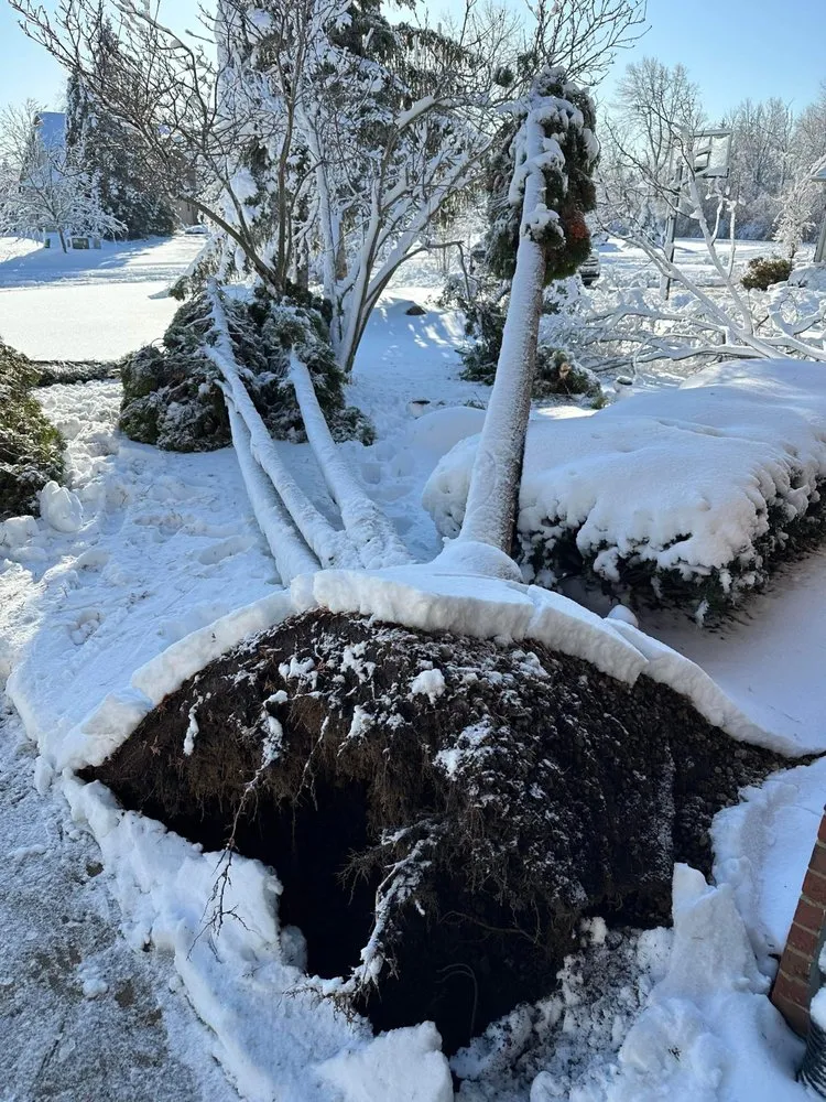 Expert lawn care service in Novi, MI by Curt’s Services