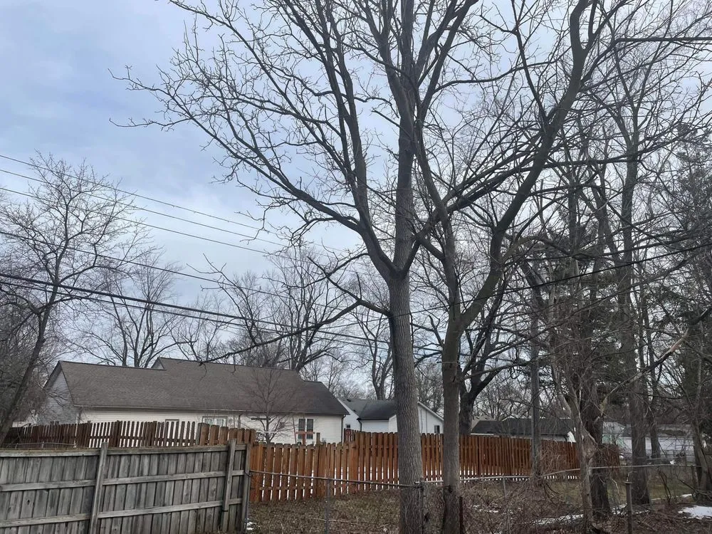 Reliable landscape installation experts serving Novi, MI - Curt’s Services