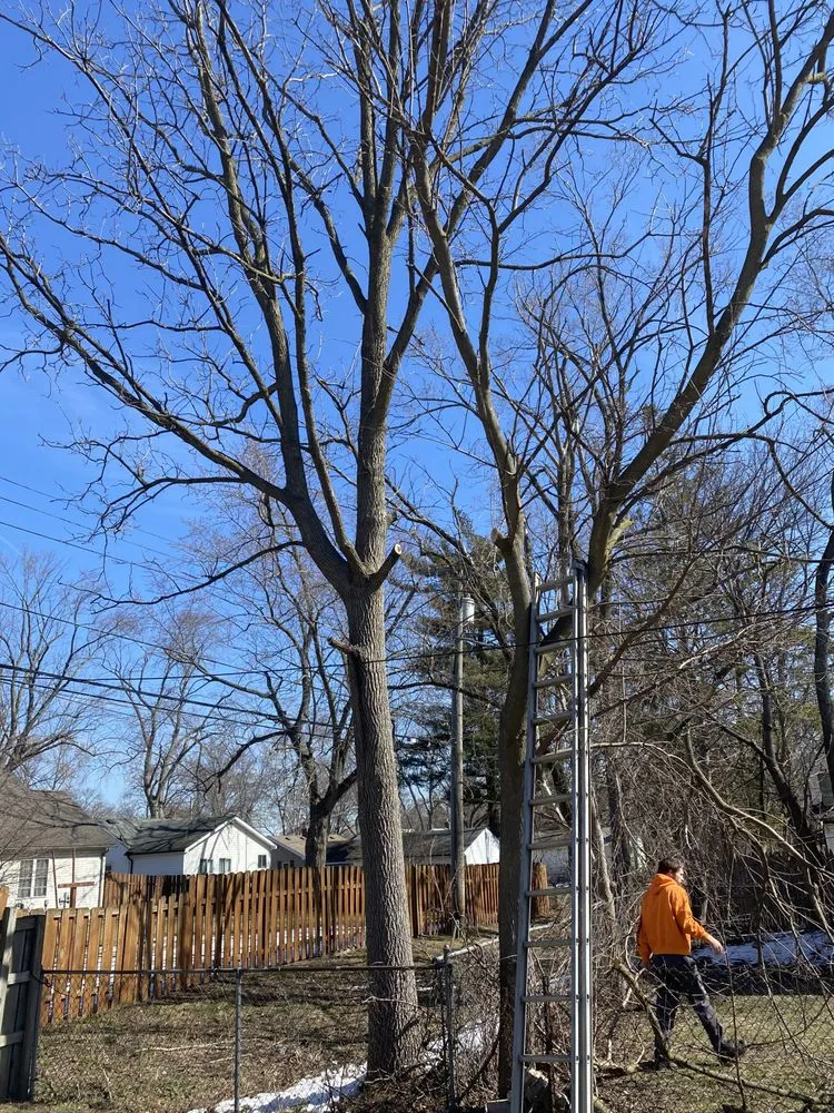 Affordable outdoor landscaping in Novi, MI by Curt’s Services