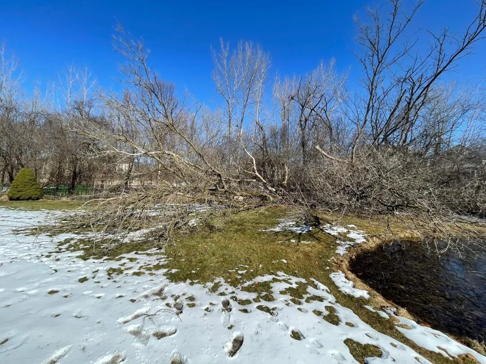 Professional landscaping services in Novi, MI - Curt’s Services