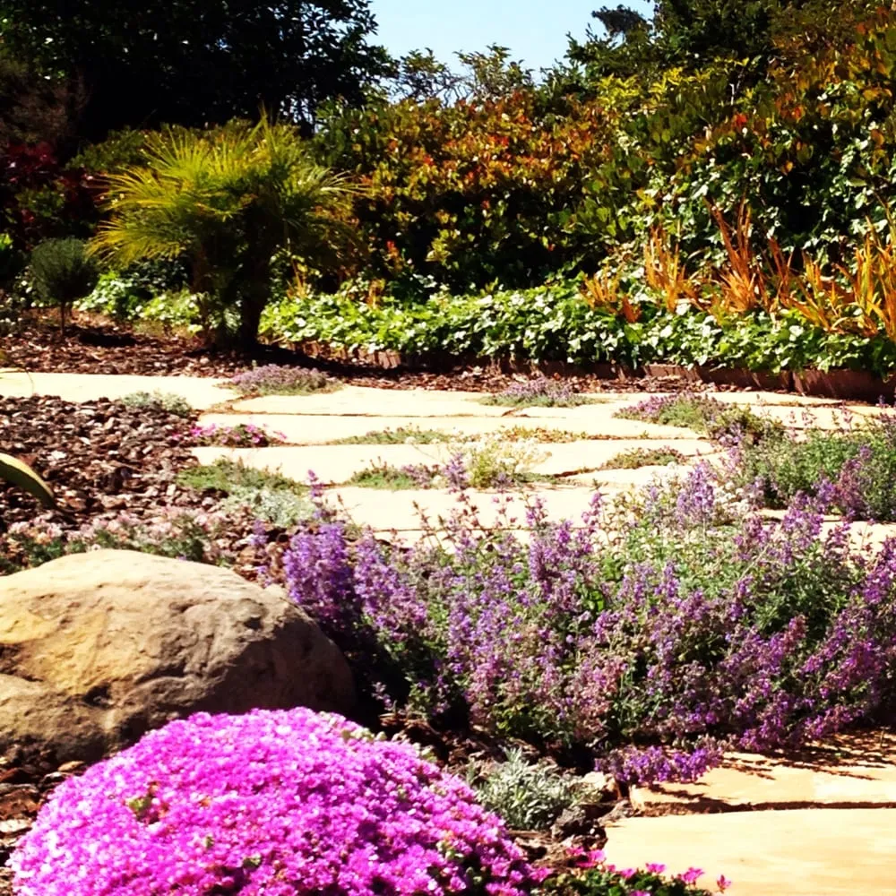 Custom outdoor landscaping in San Luis Obispo, CA by Cusick Larry Landscape Management