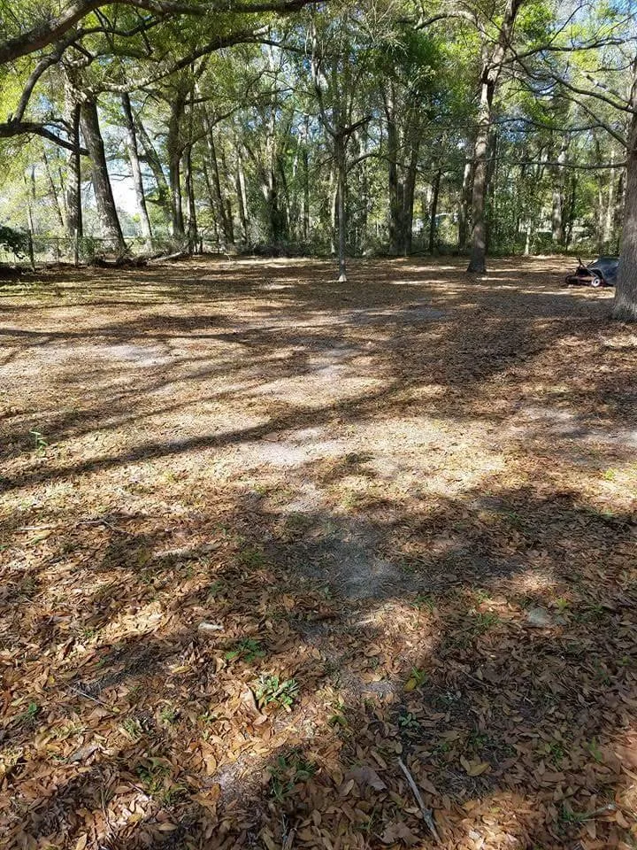 Top-rated landscape design experts serving Lake City, FL - Custom Acres Lawn Services