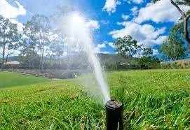 Reliable yard cleanup service in Lake City, FL - Custom Acres Lawn Services