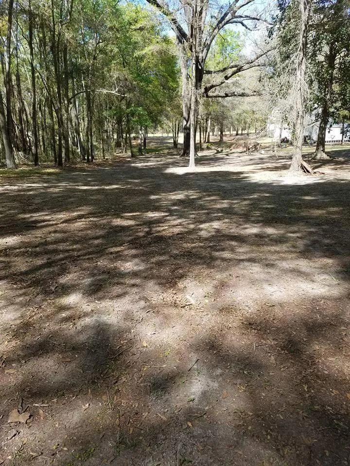 Reliable yard cleanup service in Lake City, FL - Custom Acres Lawn Services