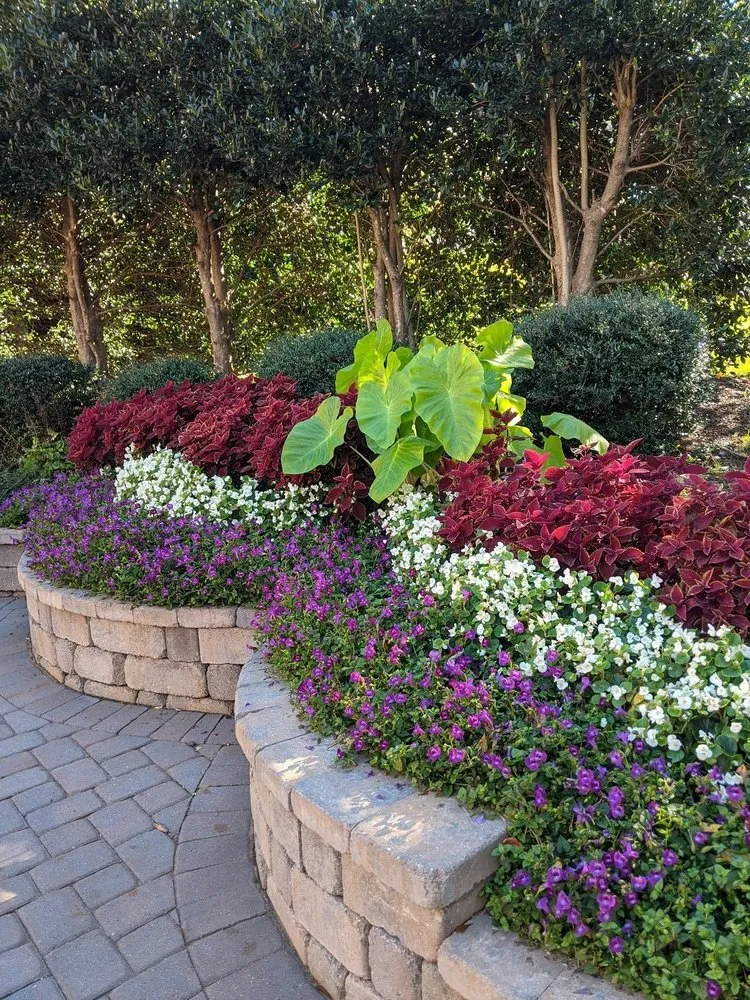 Local yard maintenance in Maple Valley, WA - Custom Backyard Creations