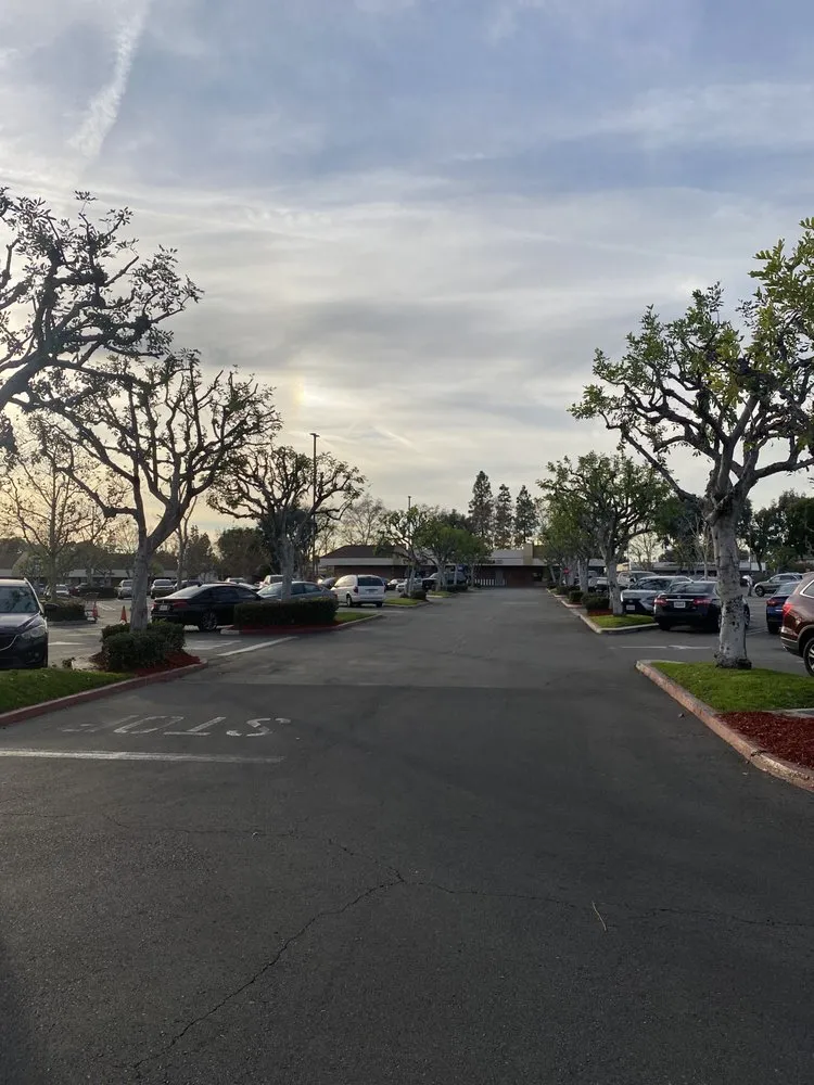 Custom landscape design experts serving Inland Empire, CA - Custom Built Landscaping