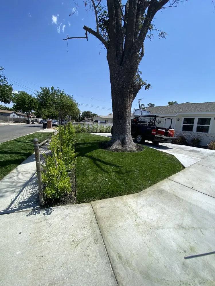 Local landscaping services in Inland Empire, CA by Custom Built Landscaping