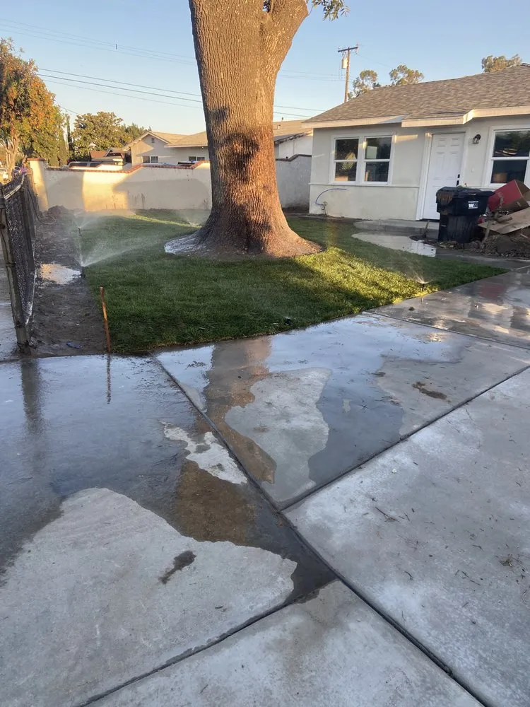 Reliable landscaping services for year-round maintenance in Inland Empire, CA by Custom Built Landscaping