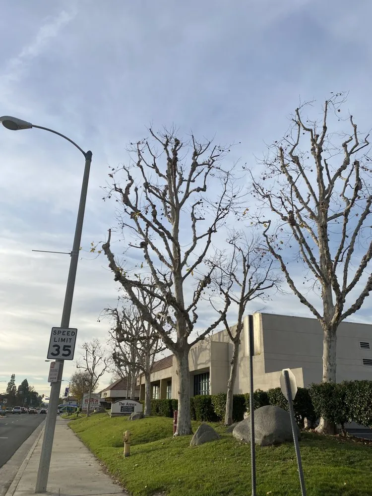 Local garden landscaping for year-round maintenance in Inland Empire, CA by Custom Built Landscaping