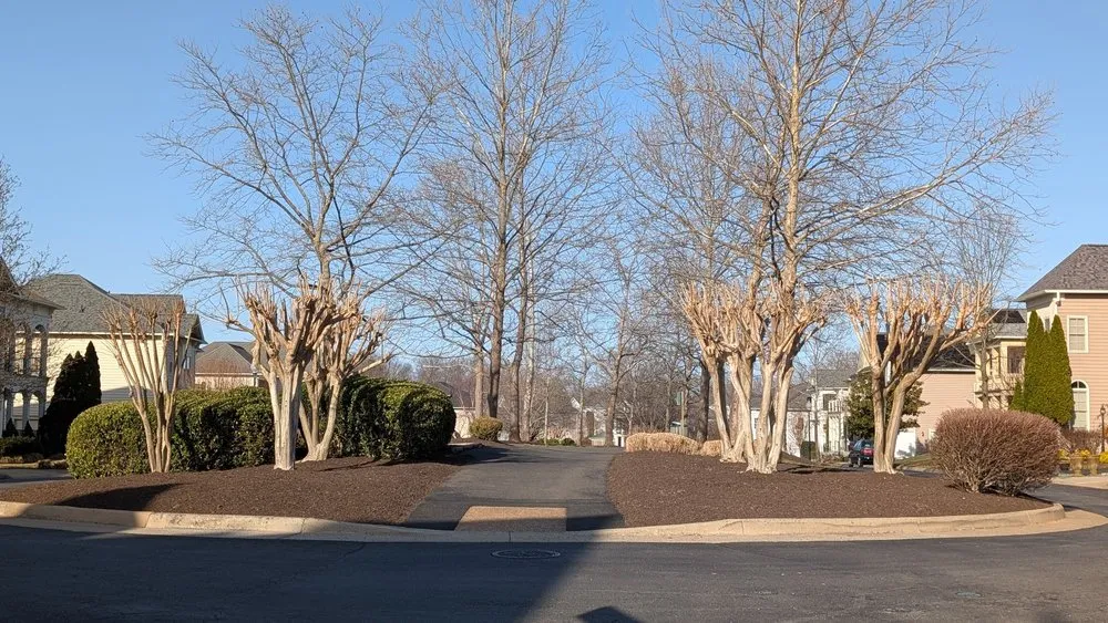 Local residential landscaping in Manassas, VA by Custom Care Lawn & Property Services