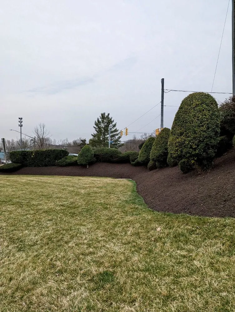 Local landscape installation for homes across Manassas, VA - Custom Care Lawn & Property Services