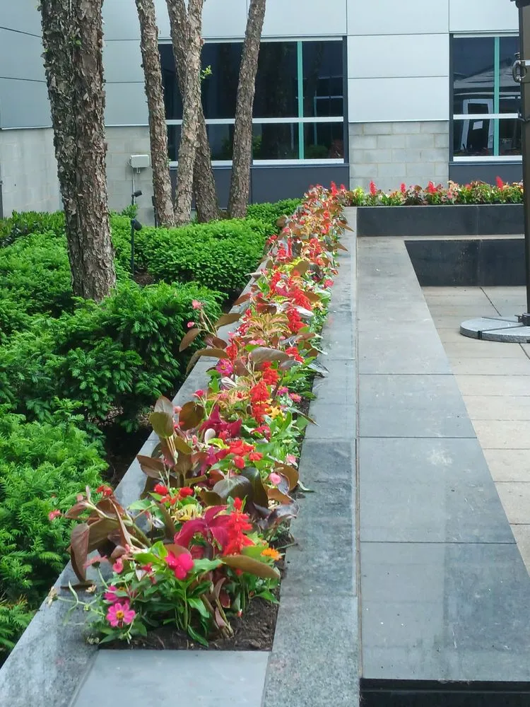 Professional residential landscaping in Manassas, VA by Custom Care Lawn & Property Services