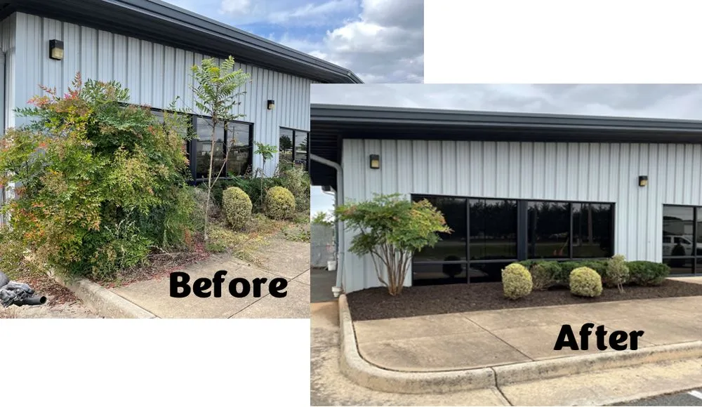 Professional yard cleanup service for beautiful yards in Manassas, VA by Custom Care Lawn & Property Services