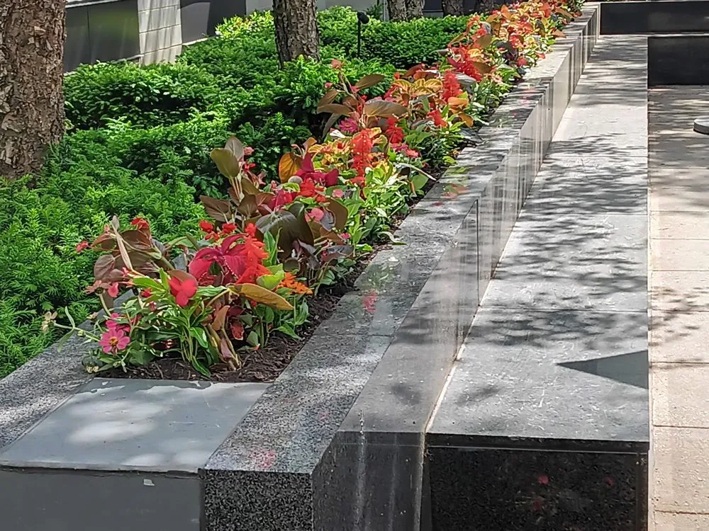 Reliable lawn care service in Manassas, VA - Custom Care Lawn & Property Services