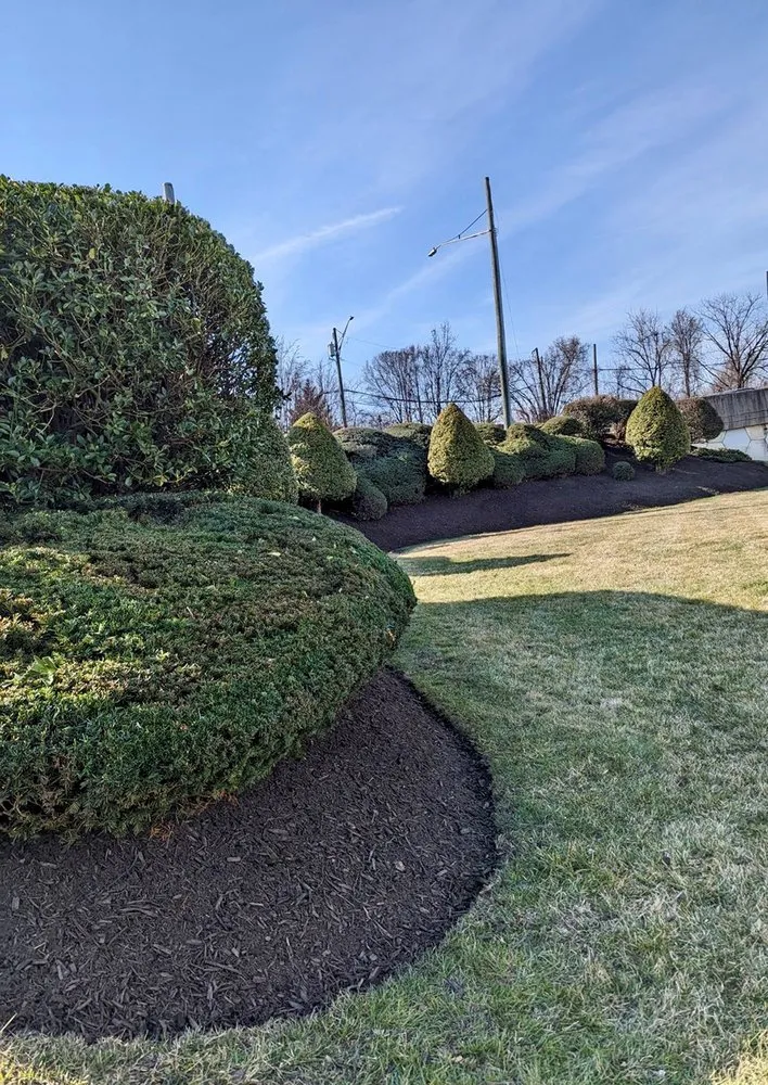 Affordable yard cleanup service near you across Manassas, VA - Custom Care Lawn & Property Services